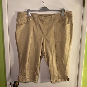 NWOT Diane Gilman Bermuda Tan shorts.

Plus Size 2X